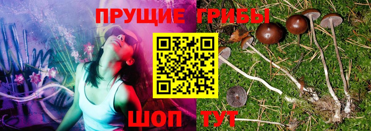 Псилоцибиновые грибы GOLDEN TEACHER  Вход с VPN  Галлюциногенные грибы Cubensis  Ртищево 